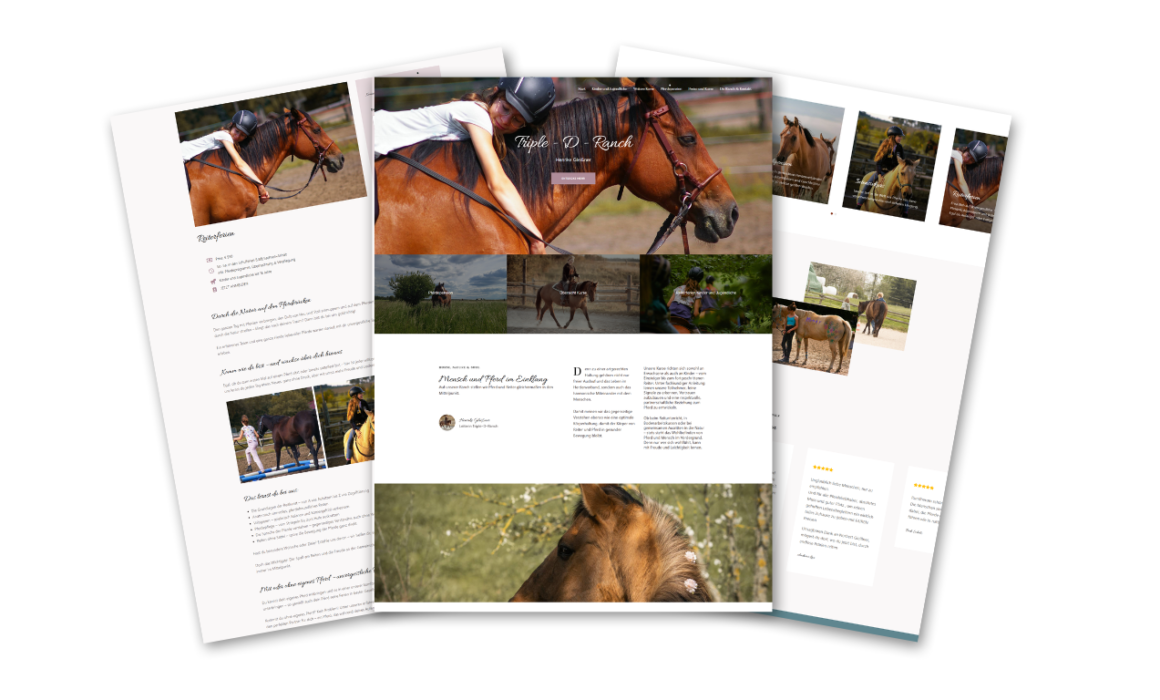Mockups Webdesign Triple D Ranch