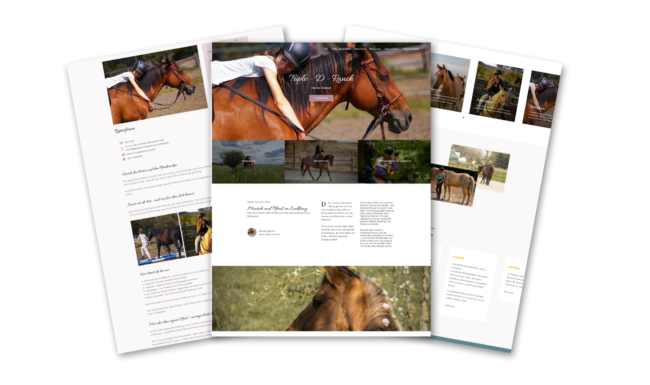 Mockups Webdesign Triple D Ranch